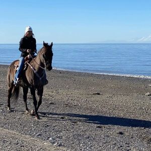 Meet your Posher, Jolene